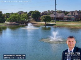 Discover Pecan Grove Park: The Verdant Oasis of Prosper, TX