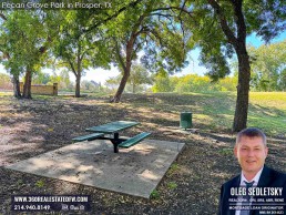 Discover Pecan Grove Park: The Verdant Oasis of Prosper, TX